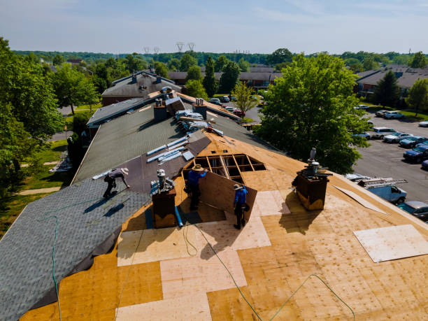 Best Storm Damage Roof Repair  in Antlers, OK