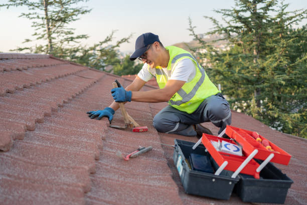 Best Roof Gutter Cleaning  in Antlers, OK